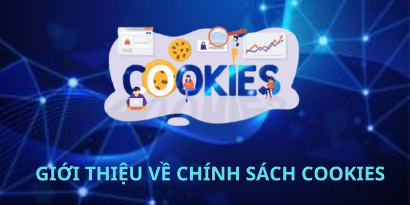 Giới thiệu cơ bản về chính sách cookies